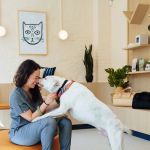 Bond Vet - Montclair