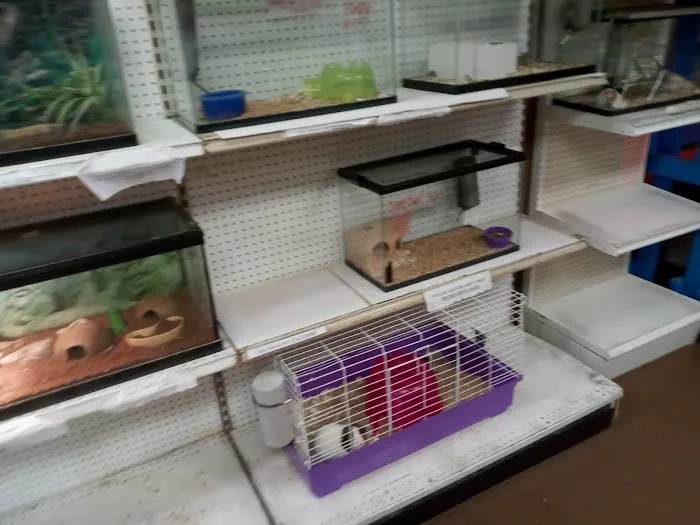 Critter Corner Picture 3