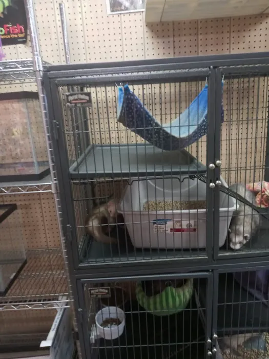 Critter Corner Picture 2