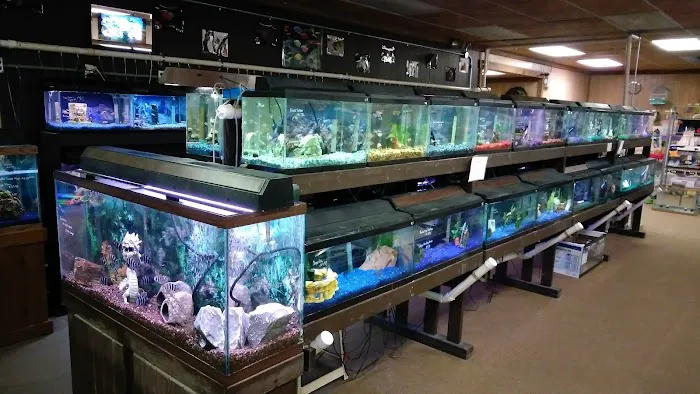 Critter Corner Picture 8