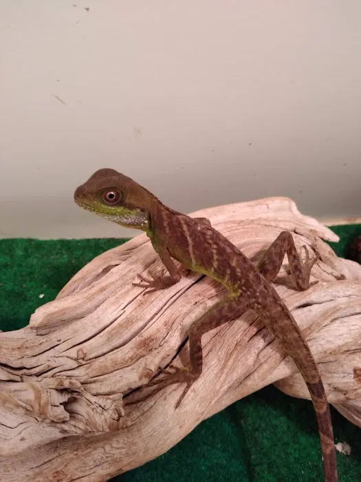 Critter Corner Picture 6