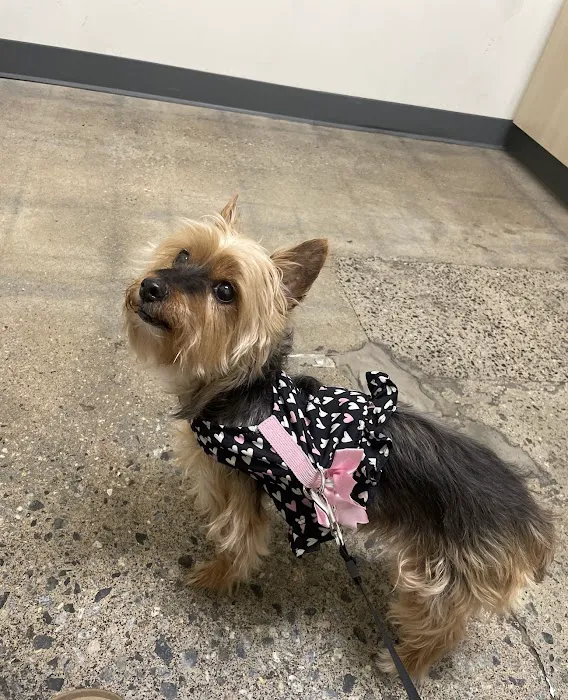 Vetco Total Care Animal Hospital Picture 7