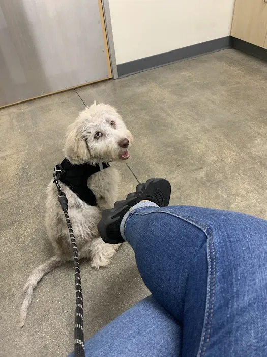 Vetco Total Care Animal Hospital Picture 5