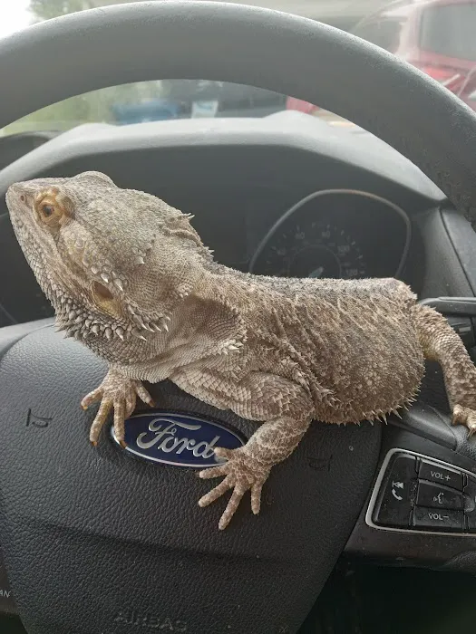 Big Sal's Feeder Farm & Reptile Supply Picture 2
