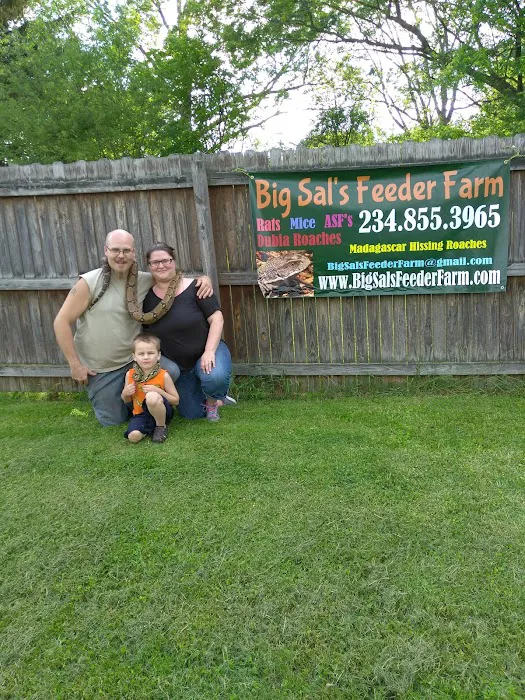 Big Sal's Feeder Farm & Reptile Supply Picture 7