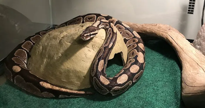 Big Sal's Feeder Farm & Reptile Supply Picture 9