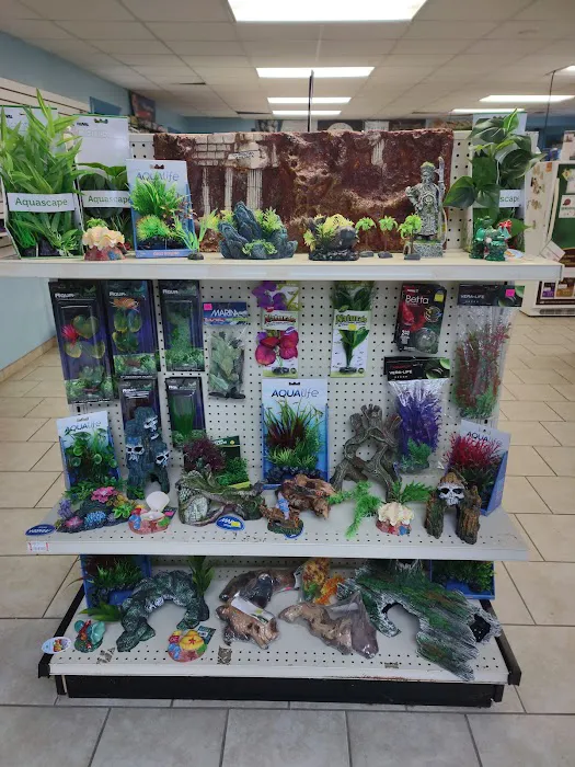 Pet Parlor Picture 6