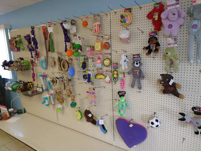 Pet Parlor Picture 9