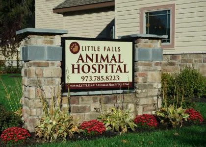 VCA Little Falls Animal Hospital Picture 6