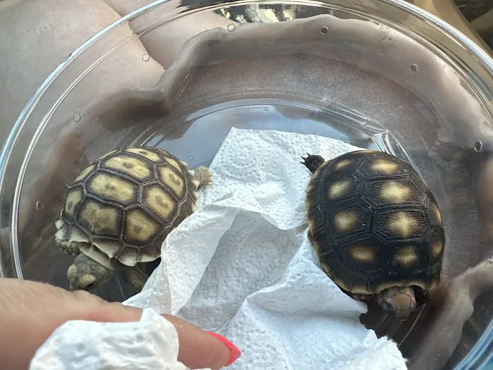 Furr-Ever Friendz Picture 5