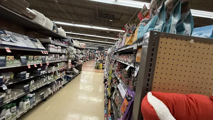 Petco Picture 6