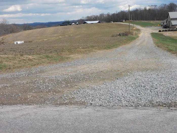 Ohio State puppies Picture 9