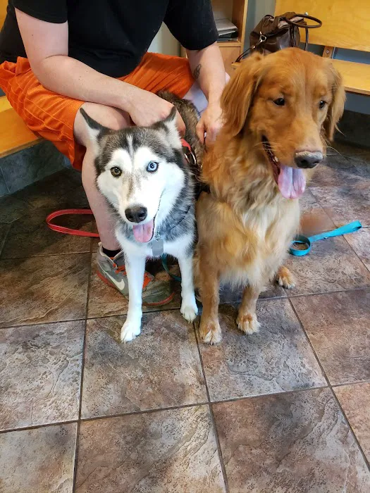Packanack Animal Hospital Picture 8