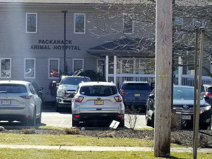 Packanack Animal Hospital Picture 3