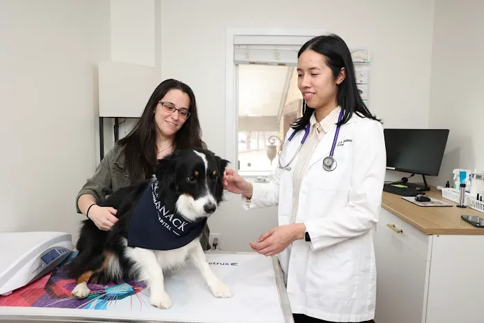 Packanack Animal Hospital Picture 2