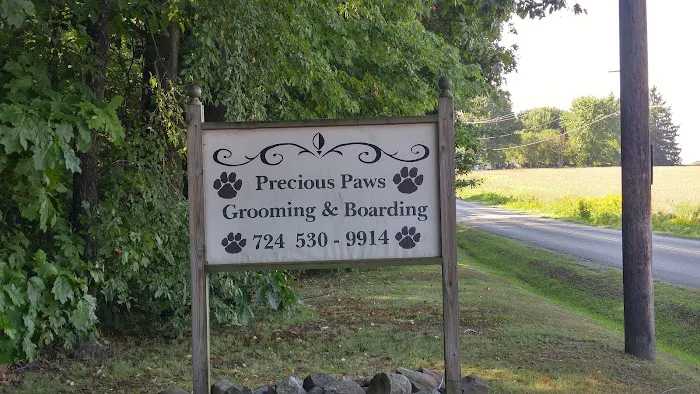 Precious Paws Pet Grooming Picture 1