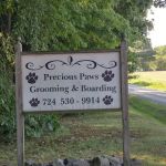 Precious Paws Pet Grooming