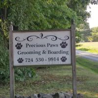 Precious Paws Pet Grooming ico