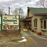 The Birdwatchers Store ico