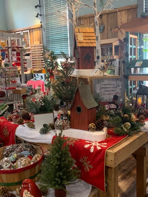 The Birdwatchers Store Picture 8