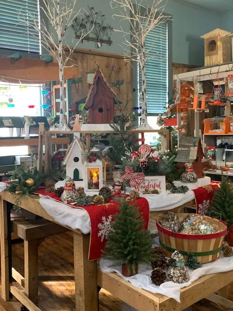 The Birdwatchers Store Picture 6