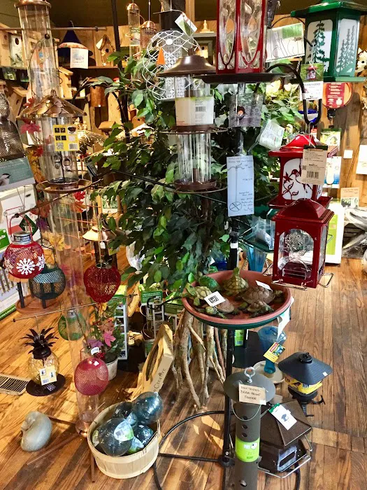 The Birdwatchers Store Picture 2