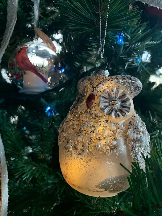 The Birdwatchers Store Picture 7