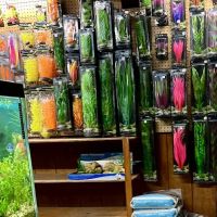 Aquatic Gardens ico