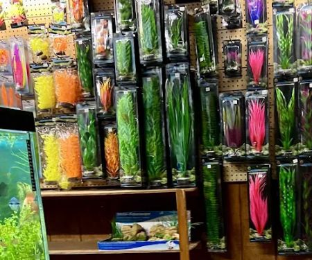 Aquatic Gardens