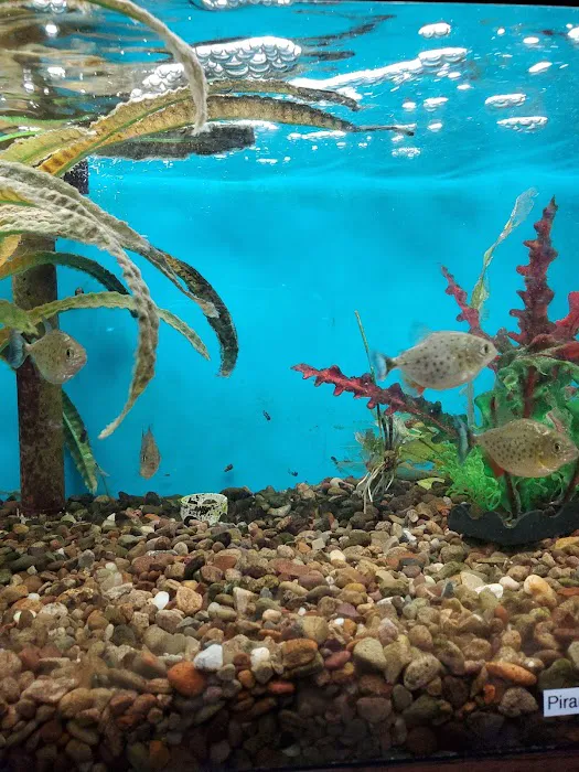 Aquatic Gardens Picture 2