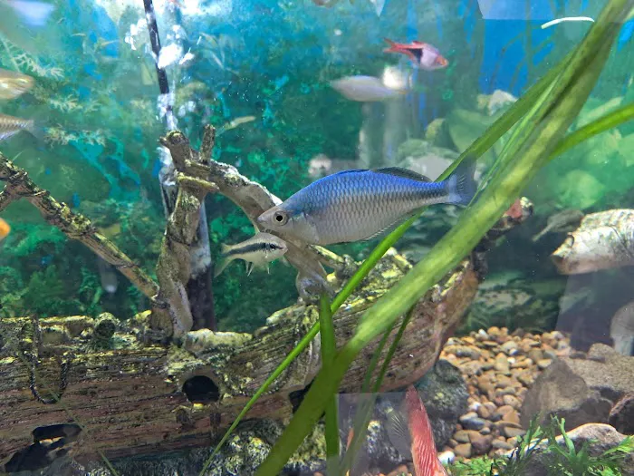 Aquatic Gardens Picture 10