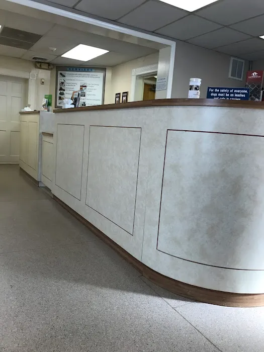 Verona Animal Hospital Picture 5