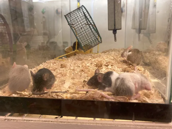 Grove City Agway & Pets Picture 3