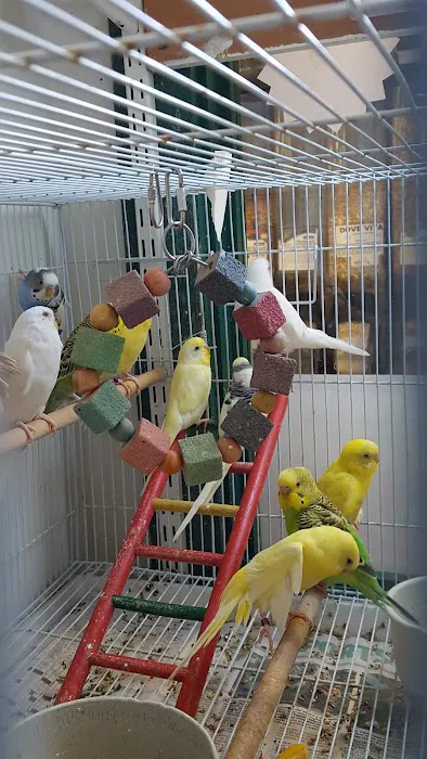 Grove City Agway & Pets Picture 2