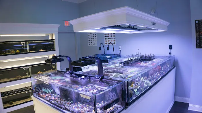 The Reef Gallery Picture 4