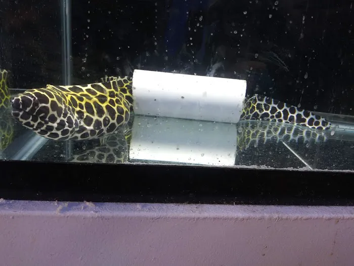 The Reef Gallery Picture 6