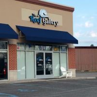 The Reef Gallery ico