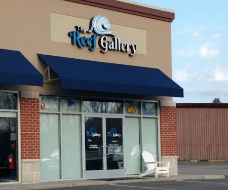 The Reef Gallery