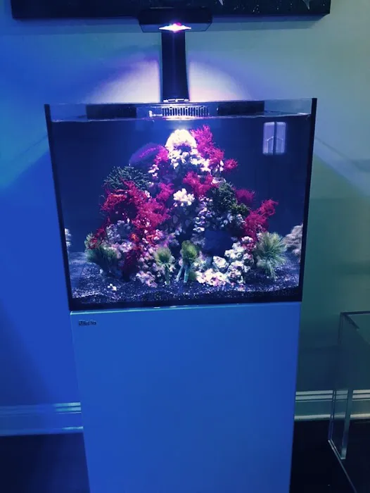 The Reef Gallery Picture 10