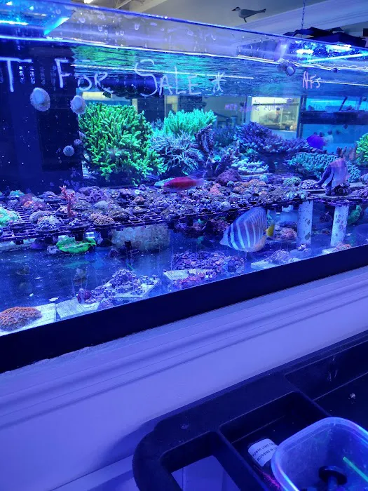 The Reef Gallery Picture 7