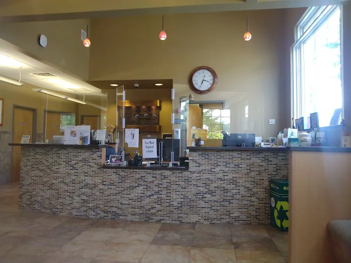 VCA Eagle Rock Animal Hospital Picture 1