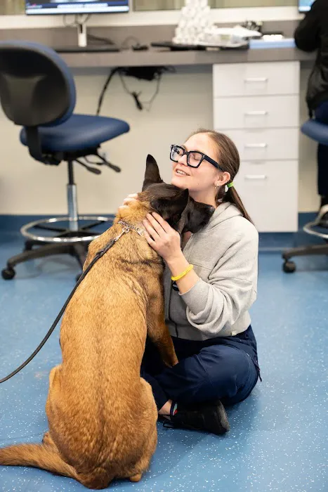 GSVS Veterinary Emergency Care East Brunswick Picture 3