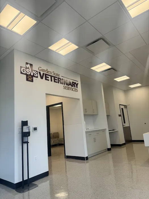 GSVS Veterinary Emergency Care East Brunswick Picture 7