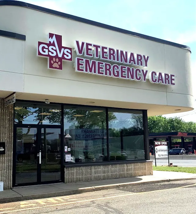 GSVS Veterinary Emergency Care East Brunswick Picture 5