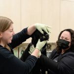 GSVS Veterinary Emergency Care East Brunswick