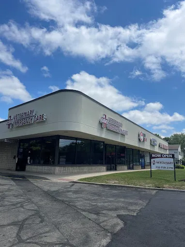 GSVS Veterinary Emergency Care East Brunswick Picture 10