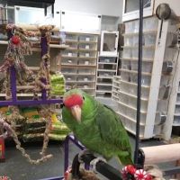 Off The Hook Exotics Pet Shop ico