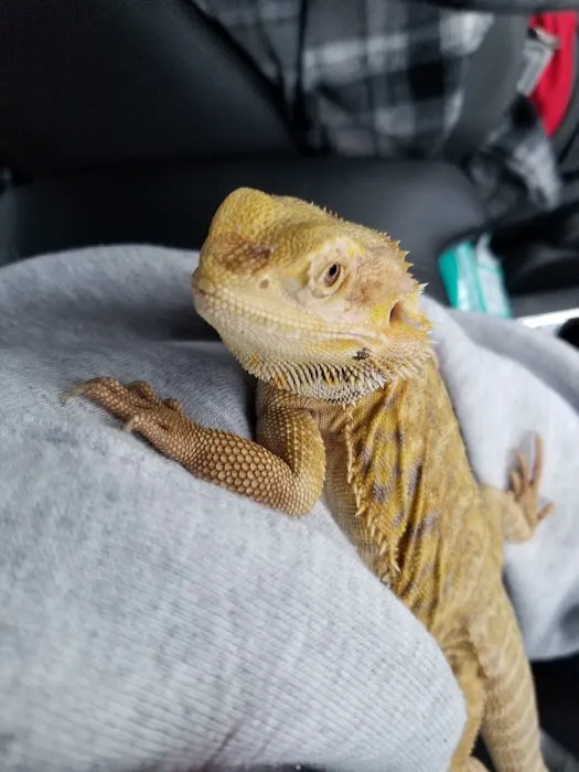 Off The Hook Exotics Pet Shop Picture 8