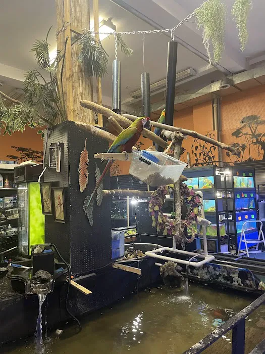 Off The Hook Exotics Pet Shop Picture 5