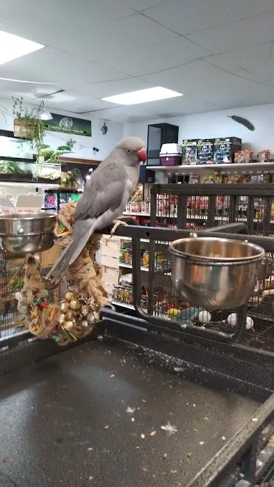 Off The Hook Exotics Pet Shop Picture 6